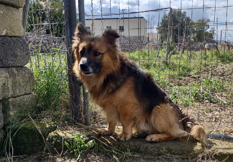 Mi chiamo cico e ho 5 anni